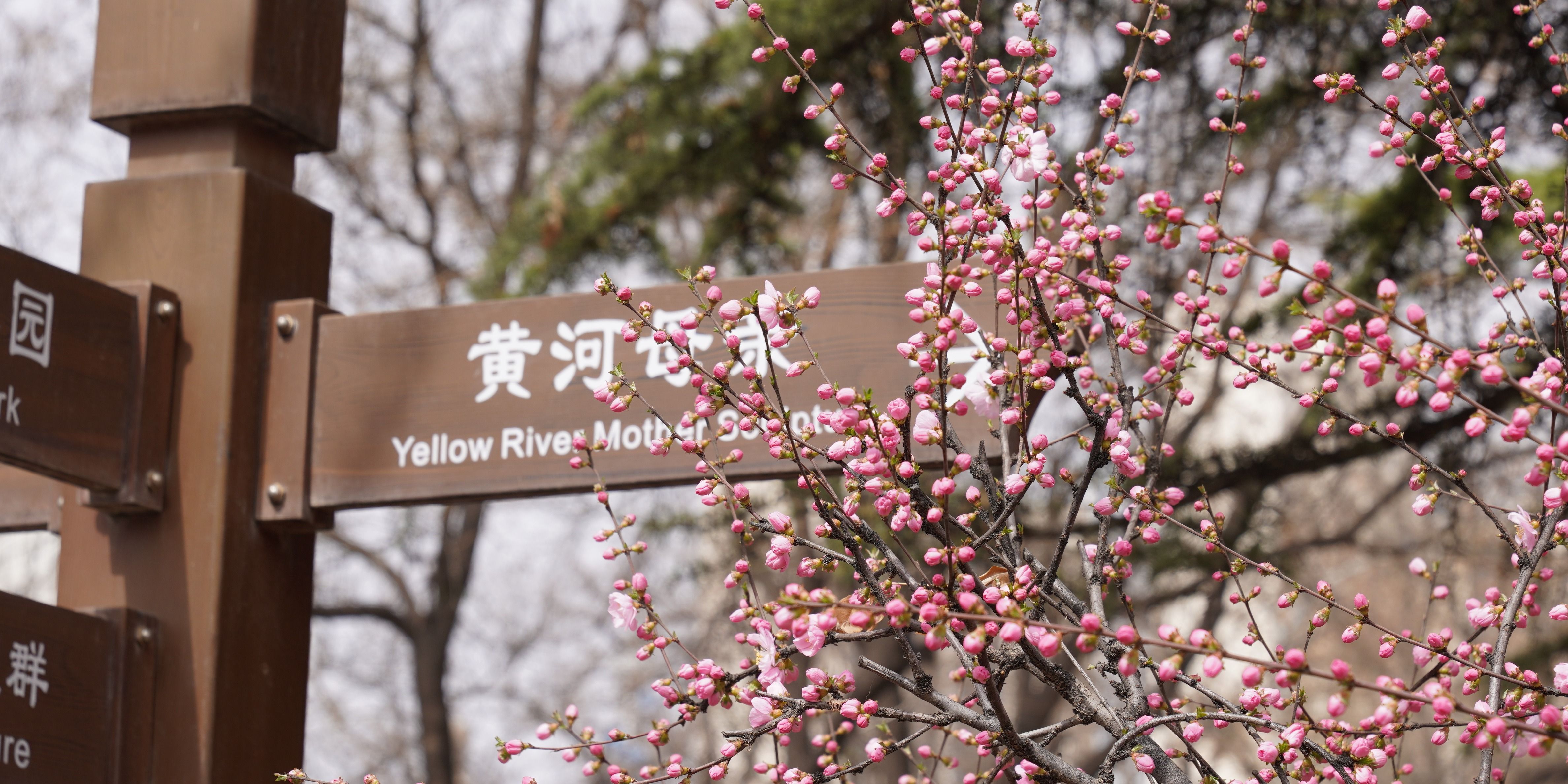 微信图片_20250428160100